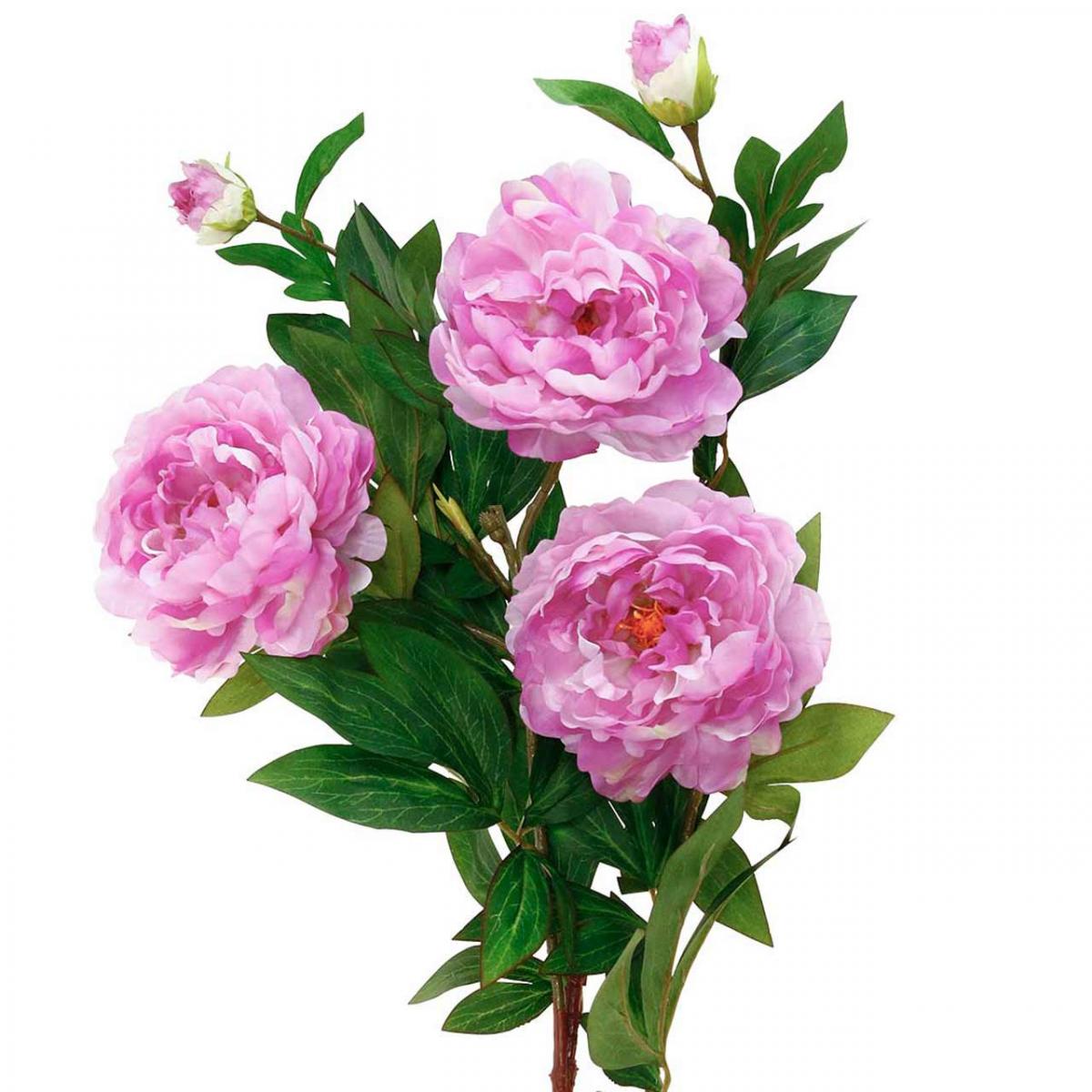 Floristik21.de Seidenblume Pfingstrose künstlich Pink Violett 135cm-08310