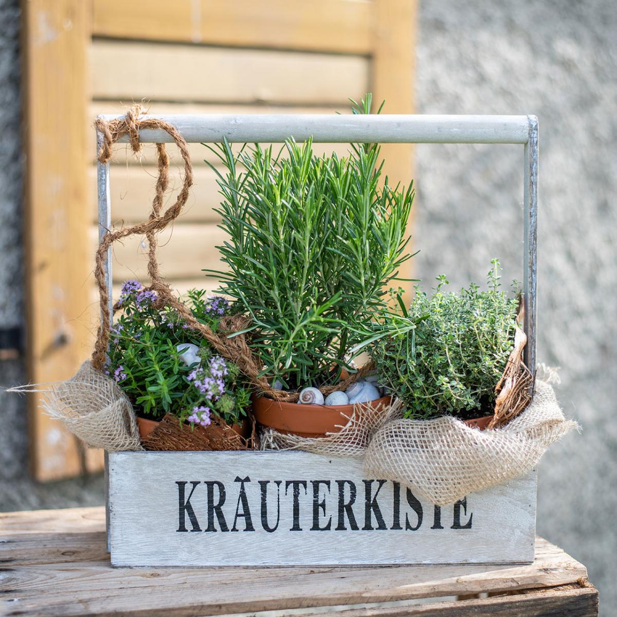 was pflanzt man im herbst in blumenkästen Balkonkasten Set Lila Herbst main image 0