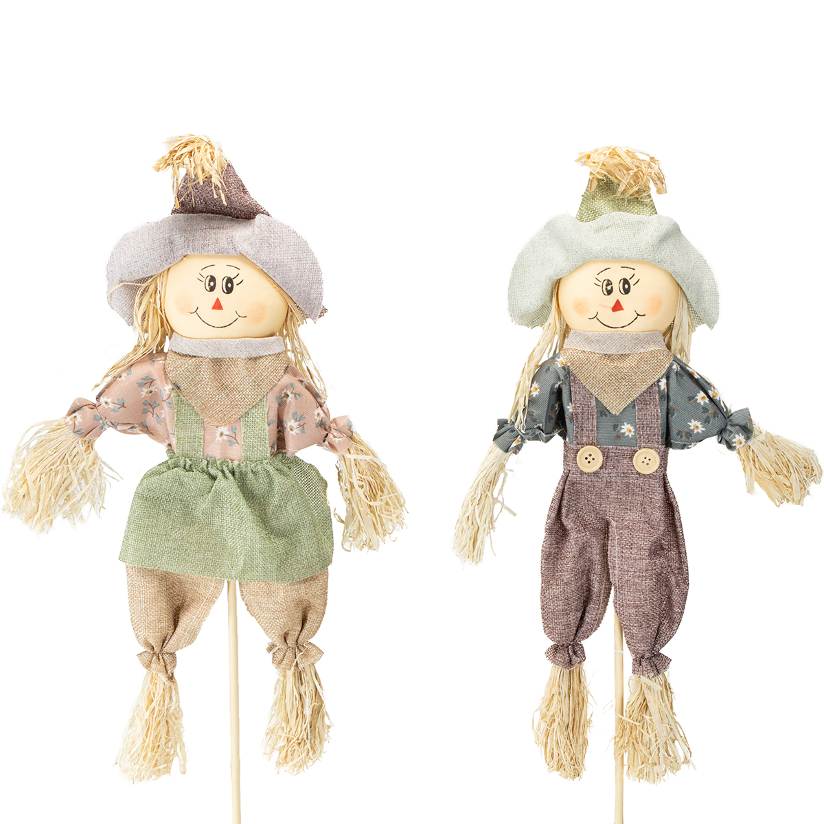 Bambus B wie Botanik 