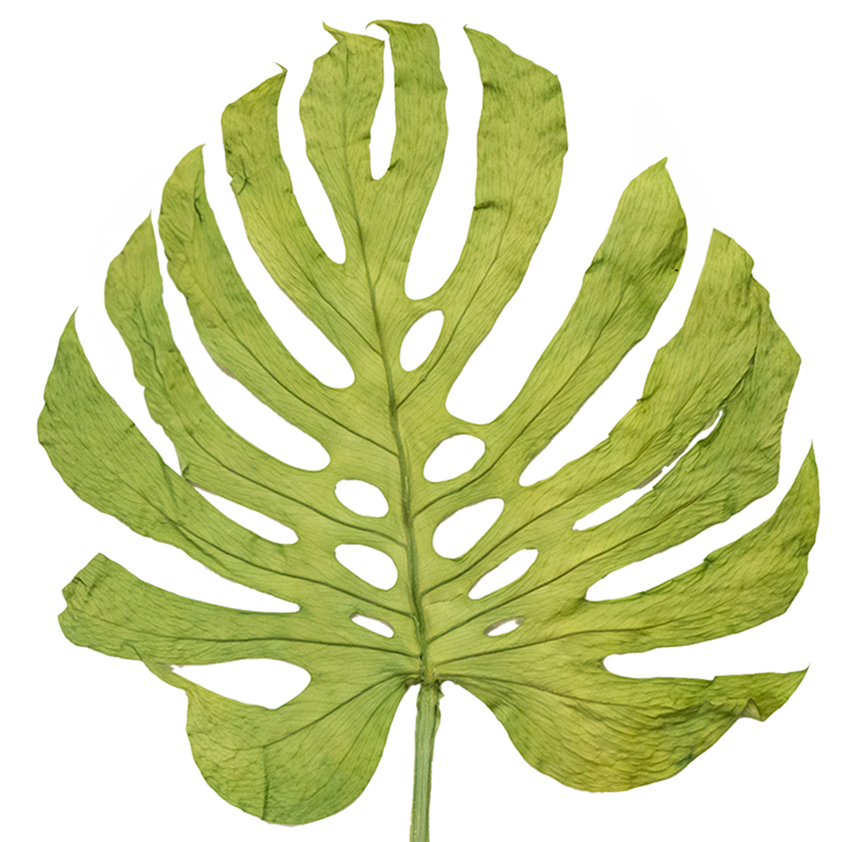 Mosaik M wie Materialkunde 