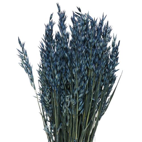 Artikel Trockenblumen, Hafer getrocknetes Getreide Deko Blau  68cm 230g