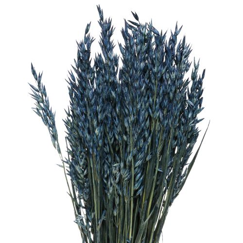 Trockenblumen, Hafer getrocknetes Getreide Deko Blau  68cm 230g