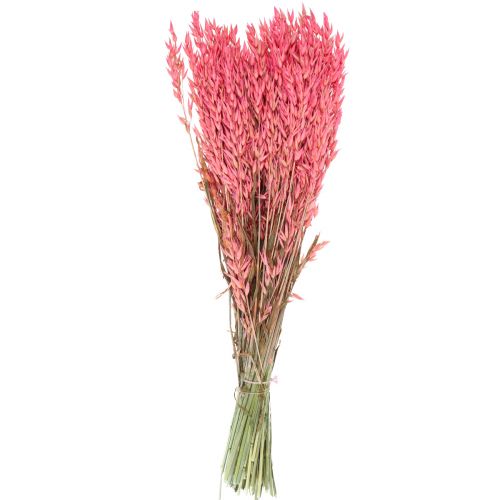 Floristik21 Trockenblumen, Hafer getrocknetes Getreide Deko Pink 65cm 160g