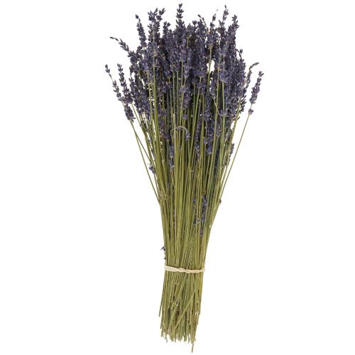 Floristik21 Getrockneter Lavendel Bund, Trockenblume Lavendel Blau 38–40cm 90g