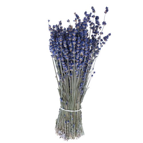 Artikel Getrockneter Lavendel Bund Trockenblume Blau 25cm 75g