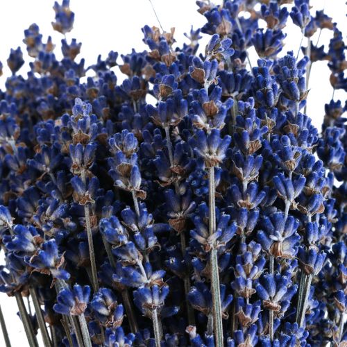 Getrockneter Lavendel Bund Trockenblume Blau 25cm 75g