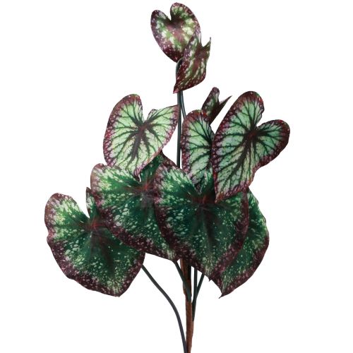 Floristik21 Begonie Künstliche Pflanzen Blattbegonien Grün Lila 62cm