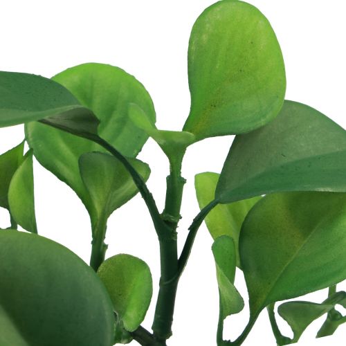 Künstliche Sukkulente Deko Kunstpflanzen Grün 11×8,5cm  3St-72058