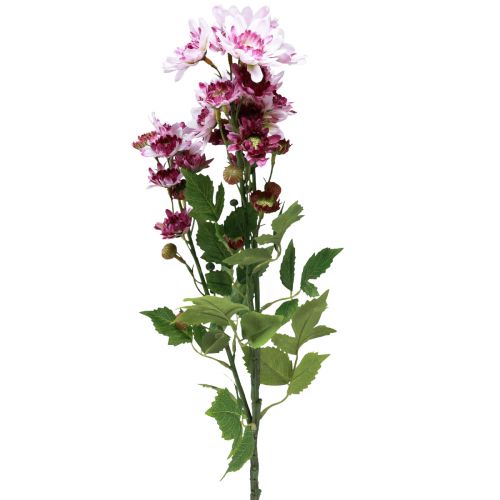 Floristik21 Kunstblumen Künstliche Astern Seidenblumen Lila 80cm