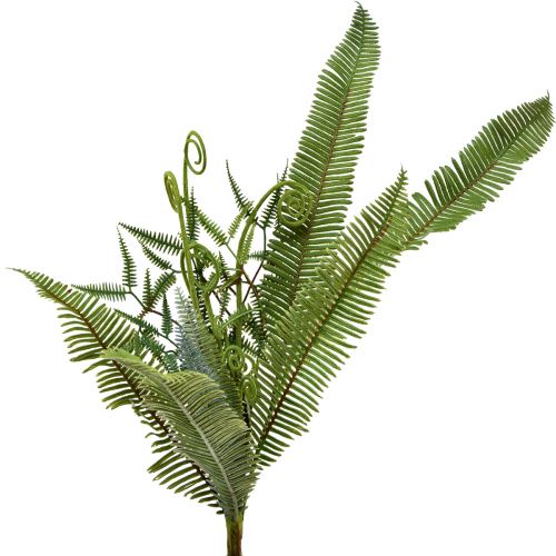 Floristik21 Kunstpflanze Künstlicher Farn Grün 55cm