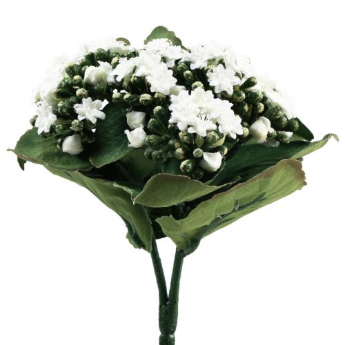 Floristik21 Kalanchoe künstlich Flammendes Käthchen Weiß 24cm