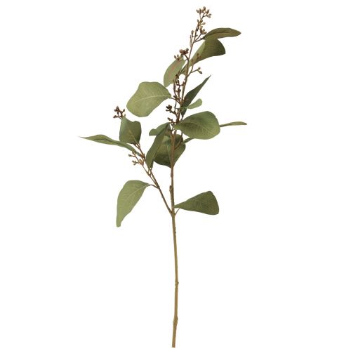 Floristik21 Eukalyptuszweig künstlich Dekozweig Grün 60cm