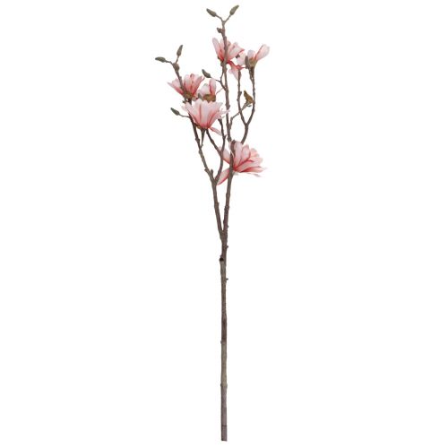 Floristik21 Magnolienzweig mit 6 Blüten Magnolie künstlich Lachs 84cm
