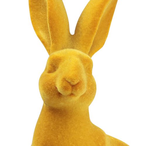 Floristik21 Osterhase Deko Hase Figur Curry Osterhasenpaar 16cm 2 St