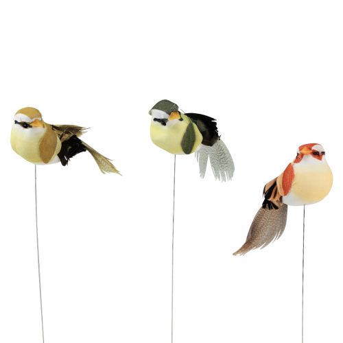 Floristik21 Federvogel am Draht Deko Vogel mit Federn Grün 4cm 12 St