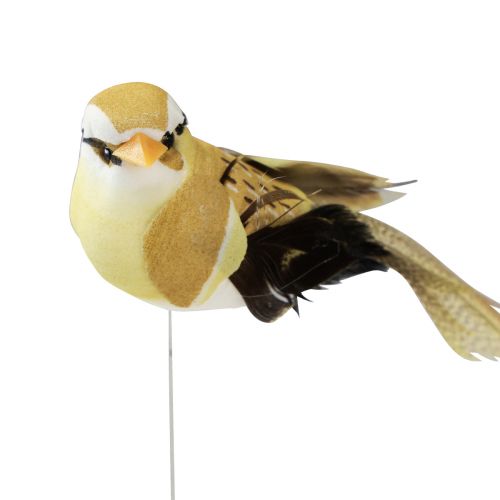 Floristik21 Federvogel am Draht Deko Vogel mit Federn Grün 4cm 12 St