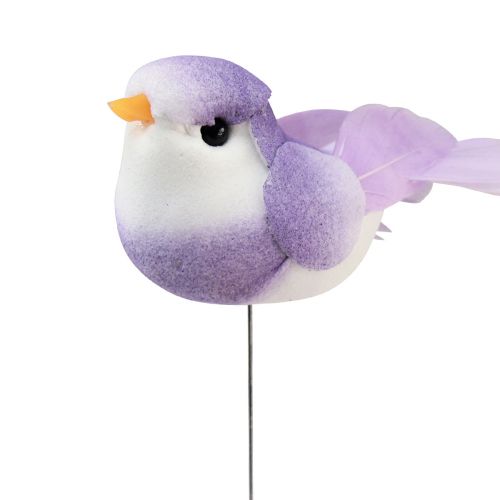 Floristik21 Federvogel am Draht, Deko Vogel mit Federn Bunt 2,5cm 24 St
