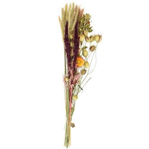 Artikel Trockenblumenstrauß Gräser Strohblumen Orange Lila 55cm 70g