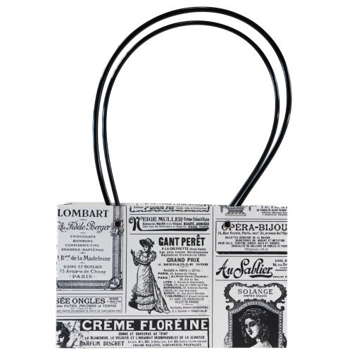 Floristik21 Geschenktüten Geschenktasche Papier 13,5×22cm 10St