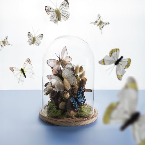 Floristik21 Glasglocke auf Holztablett Glassturz Klar Natur Ø17cm H24cm
