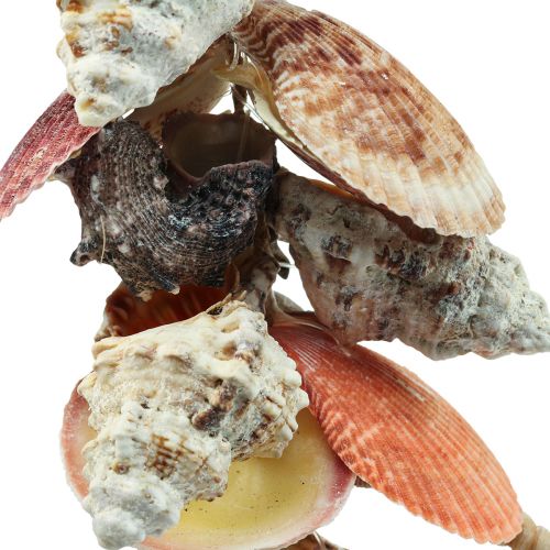 Floristik21 Maritime Hängedeko Muscheln und Seeschnecken Deko 82cm