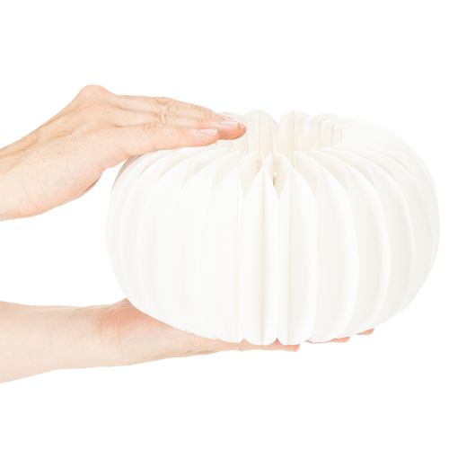 Wabenpapier Kürbis Rund Weiß 24 cm mit Vertiefung 4 Stück | Floristik21.de