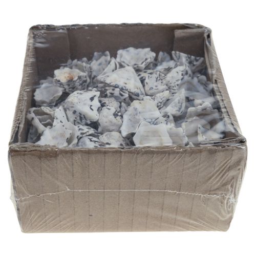 Floristik21 Muschel Deko Muscheln Weiß Schwarz Klein 1-2,5cm 250g