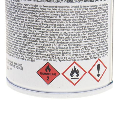 Floristik21 Glasfarbe Spray Effektspray Sprühfarbe Glas Koralle Matt 250ml