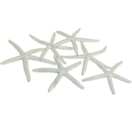 Seestern Silber Maritime Deko Seesterne Sommerdeko 7,5cm 10St