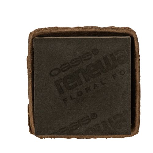 OASIS® Renewal® Floral Foam Biolit® Steckschaum, 1/2 Ziegel, braun, 12 x 12 x 8 cm, 2 Stück