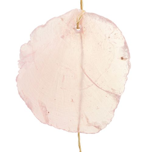 Floristik21 Muschel Girlande Perlmutt Muschelgirlande Capiz Rosa L108cm