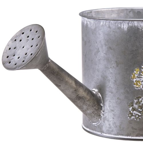 Floristik21 Deko Gießkanne Metall zum Bepflanzen Pflanzkanne 13,5cm