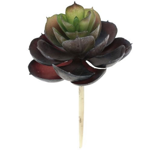 Sukkulente Echeveria Künstliche Grünpflanzen Ø7cm 12cm 6 St