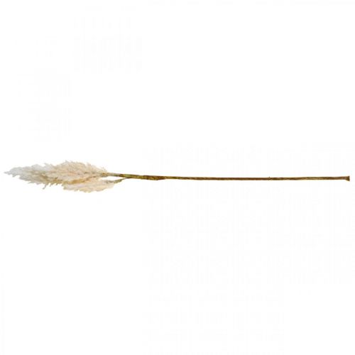 Floristik21 Pampasgras Weiß Creme künstlich Trockengräser Deko 82cm