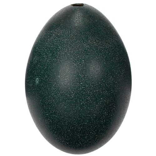 Artikel Emuei Dekoration für festliche Wohnraumdekoration und stilvolle Akzente zu Ostern