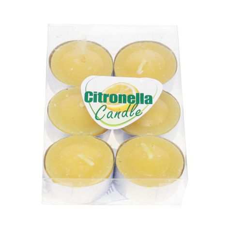 Floristik21 Duftkerze Citronella Kerze, Citronella Teelichter Ø3,5cm H1,5cm 6St