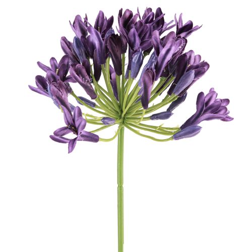Artikel Agapanthus Kunstblumen Lila 75cm – Dekoblumen für Floristen, 2 Stk