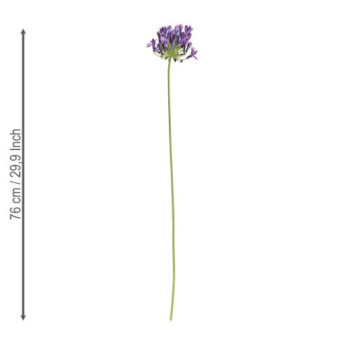 Artikel Agapanthus Kunstblumen Lila 75cm – Dekoblumen für Floristen, 2 Stk