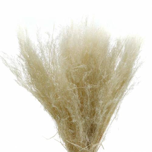 Trockengras Agrostis gebleicht 40g