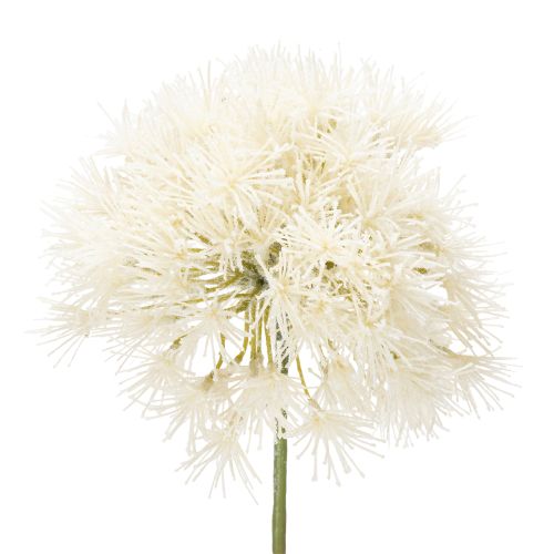 Elegante künstliche Allium-Deko-Blume in Weiß für Innenräume 68cm