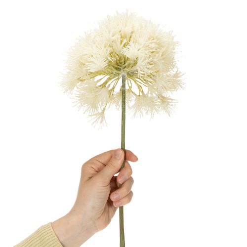 Artikel Elegante künstliche Allium-Deko-Blume in Weiß für Innenräume 68cm