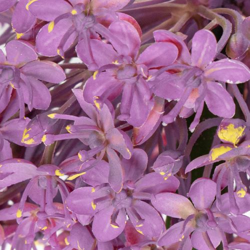 Artikel Kunstblume Zierlauch Allium lila 90cm dekorativ langlebig hochwertig