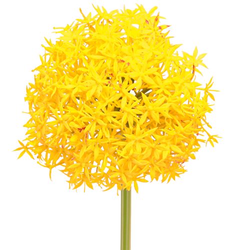Artikel Allium Gelbe Blüte Zierlauch Kunstblume 80cm Sommerdeko 2St