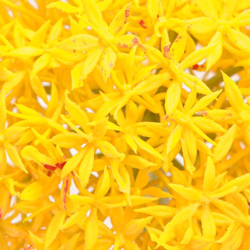 Artikel Allium Gelbe Blüte Zierlauch Kunstblume 80cm Sommerdeko 2St