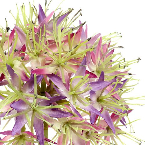 Artikel Allium Hellviolett L76cm