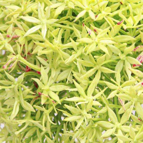 Artikel Allium grüne Blüte 18cm Zierlauch künstliche Dekoration flexibel