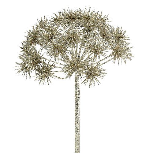 Floristik21 Allium mit Glimmer Champagner Ø18cm L70cm
