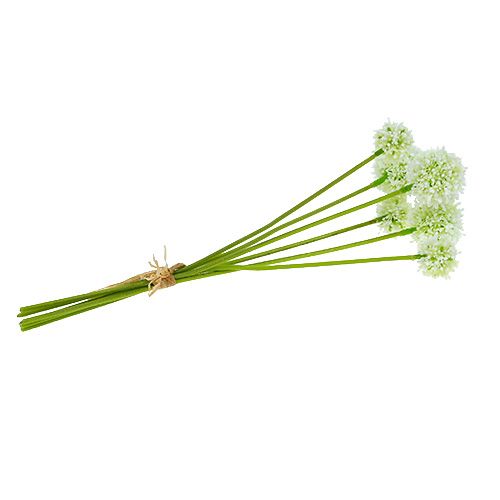 Floristik21 Allium 35cm Weiß 6St