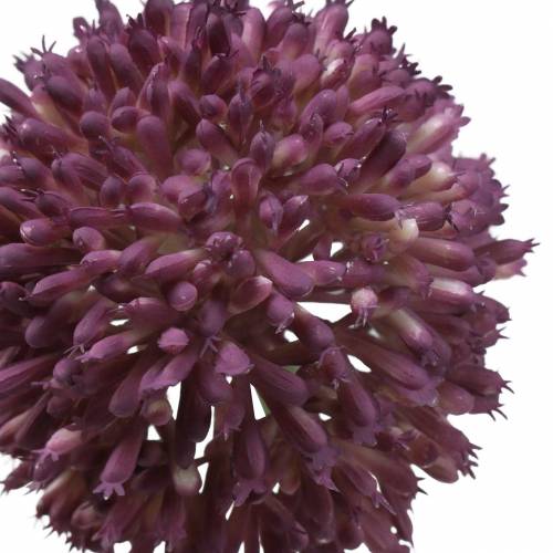 Artikel Zierlauch Allium künstlich Lila Ø8cm 58cm