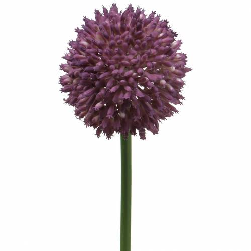 Floristik21 Zierlauch Allium künstlich Lila Ø8cm 58cm